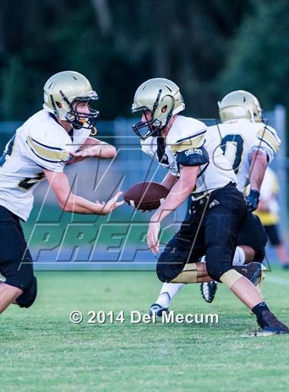 Thumbnail 3 in Mitchell @ Wiregrass Ranch photogallery.