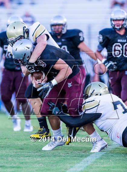 Thumbnail 2 in Mitchell @ Wiregrass Ranch photogallery.