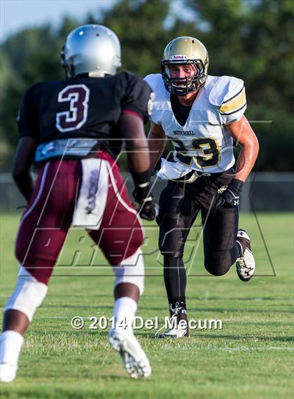 Thumbnail 3 in Mitchell @ Wiregrass Ranch photogallery.
