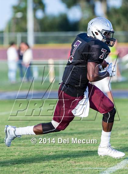 Thumbnail 2 in Mitchell @ Wiregrass Ranch photogallery.