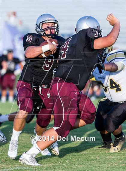Thumbnail 2 in Mitchell @ Wiregrass Ranch photogallery.