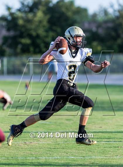 Thumbnail 1 in Mitchell @ Wiregrass Ranch photogallery.