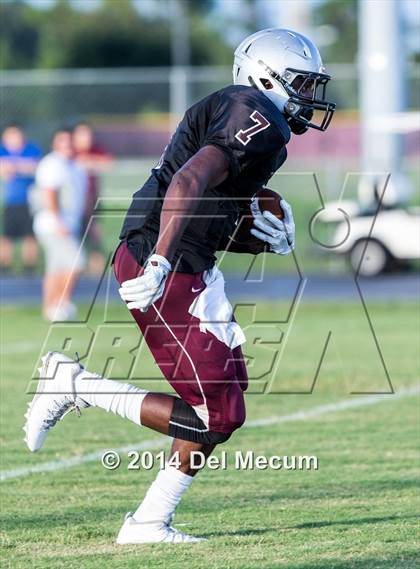 Thumbnail 3 in Mitchell @ Wiregrass Ranch photogallery.