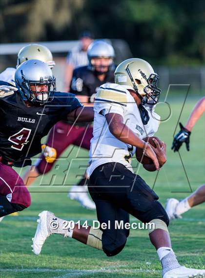 Thumbnail 1 in Mitchell @ Wiregrass Ranch photogallery.