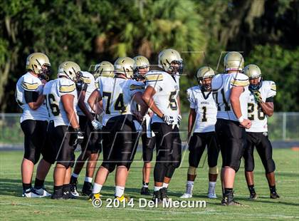 Thumbnail 3 in Mitchell @ Wiregrass Ranch photogallery.