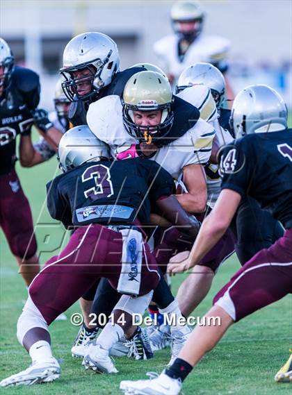 Thumbnail 1 in Mitchell @ Wiregrass Ranch photogallery.