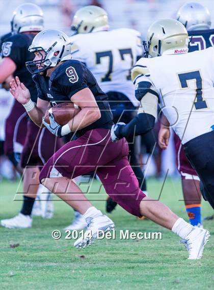 Thumbnail 1 in Mitchell @ Wiregrass Ranch photogallery.