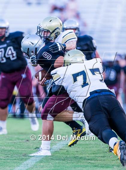 Thumbnail 2 in Mitchell @ Wiregrass Ranch photogallery.