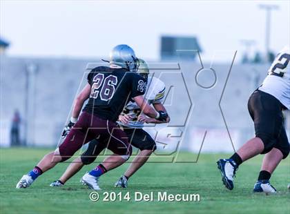 Thumbnail 3 in Mitchell @ Wiregrass Ranch photogallery.