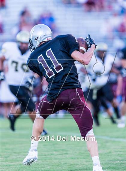 Thumbnail 3 in Mitchell @ Wiregrass Ranch photogallery.