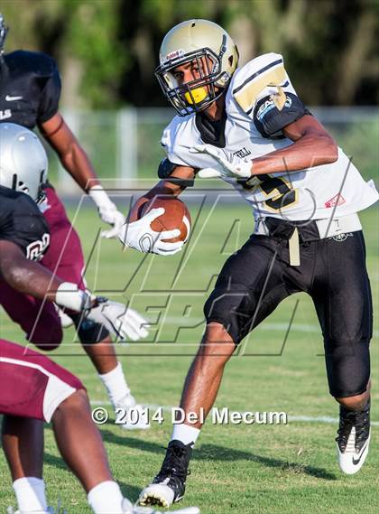 Thumbnail 3 in Mitchell @ Wiregrass Ranch photogallery.
