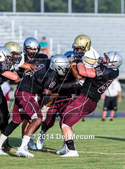 Thumbnail 1 in Mitchell @ Wiregrass Ranch photogallery.