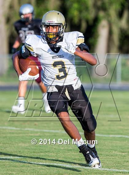 Thumbnail 1 in Mitchell @ Wiregrass Ranch photogallery.