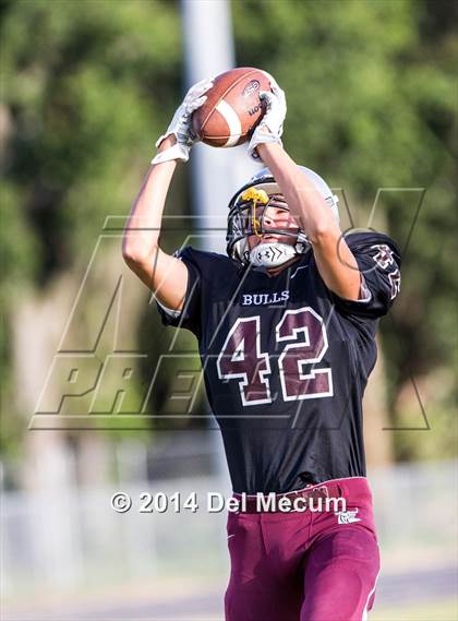 Thumbnail 3 in Mitchell @ Wiregrass Ranch photogallery.