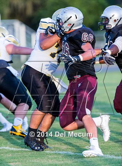 Thumbnail 2 in Mitchell @ Wiregrass Ranch photogallery.