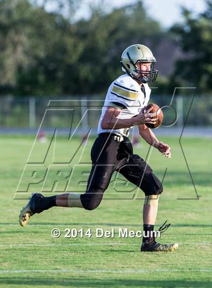Thumbnail 2 in Mitchell @ Wiregrass Ranch photogallery.
