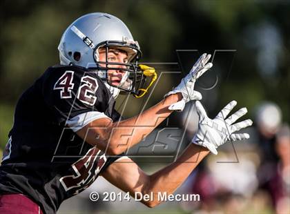 Thumbnail 1 in Mitchell @ Wiregrass Ranch photogallery.