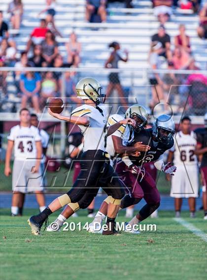 Thumbnail 1 in Mitchell @ Wiregrass Ranch photogallery.