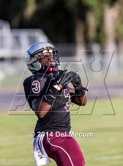 Thumbnail 1 in Mitchell @ Wiregrass Ranch photogallery.