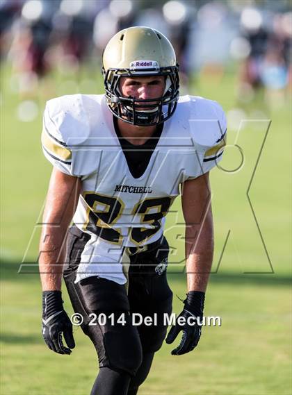 Thumbnail 2 in Mitchell @ Wiregrass Ranch photogallery.