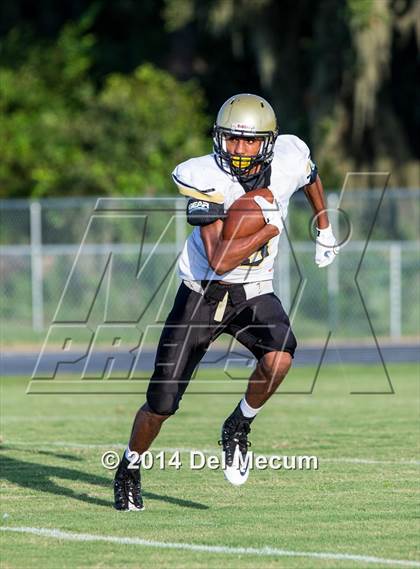 Thumbnail 3 in Mitchell @ Wiregrass Ranch photogallery.