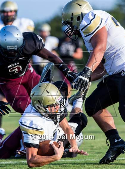 Thumbnail 3 in Mitchell @ Wiregrass Ranch photogallery.
