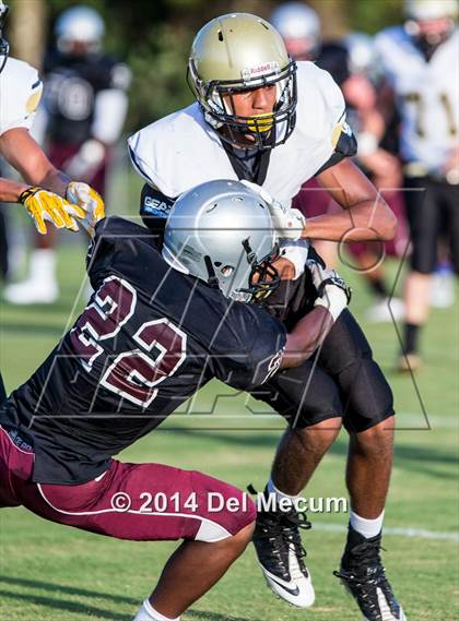 Thumbnail 1 in Mitchell @ Wiregrass Ranch photogallery.