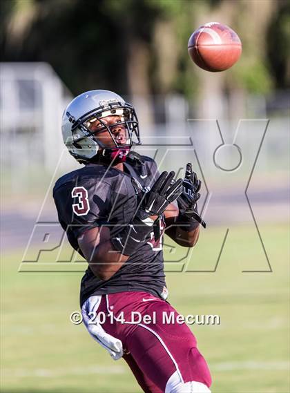 Thumbnail 3 in Mitchell @ Wiregrass Ranch photogallery.