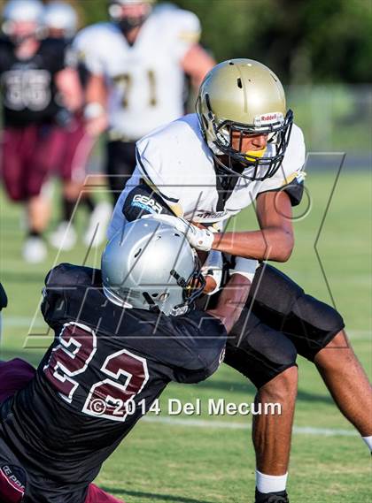 Thumbnail 1 in Mitchell @ Wiregrass Ranch photogallery.