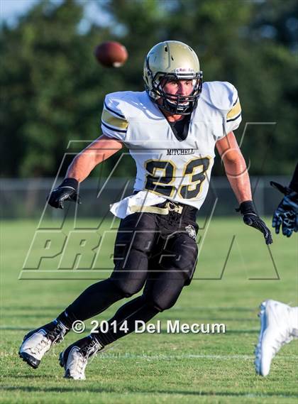 Thumbnail 1 in Mitchell @ Wiregrass Ranch photogallery.