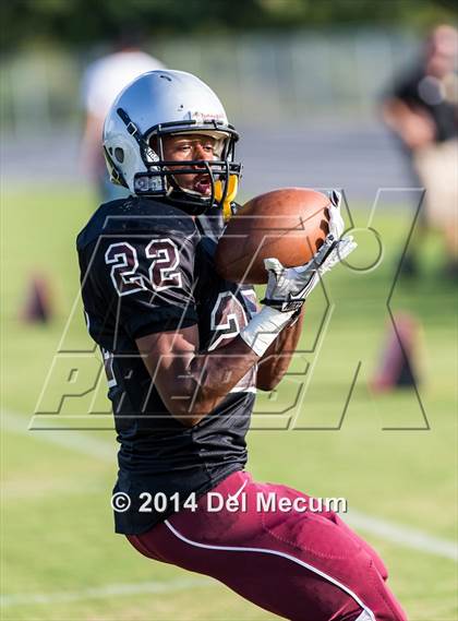 Thumbnail 1 in Mitchell @ Wiregrass Ranch photogallery.
