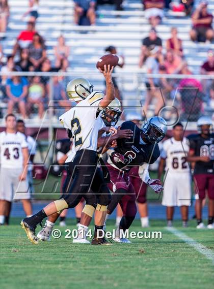 Thumbnail 2 in Mitchell @ Wiregrass Ranch photogallery.