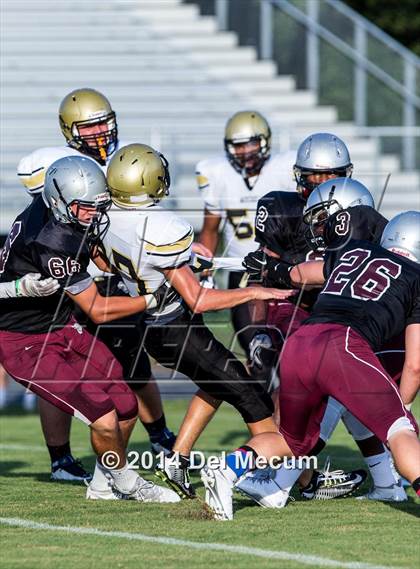 Thumbnail 1 in Mitchell @ Wiregrass Ranch photogallery.