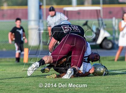 Thumbnail 1 in Mitchell @ Wiregrass Ranch photogallery.