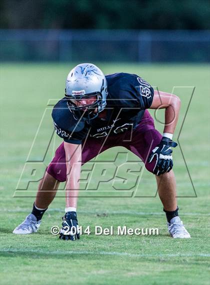 Thumbnail 1 in Mitchell @ Wiregrass Ranch photogallery.