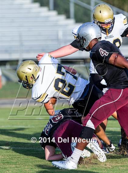 Thumbnail 1 in Mitchell @ Wiregrass Ranch photogallery.