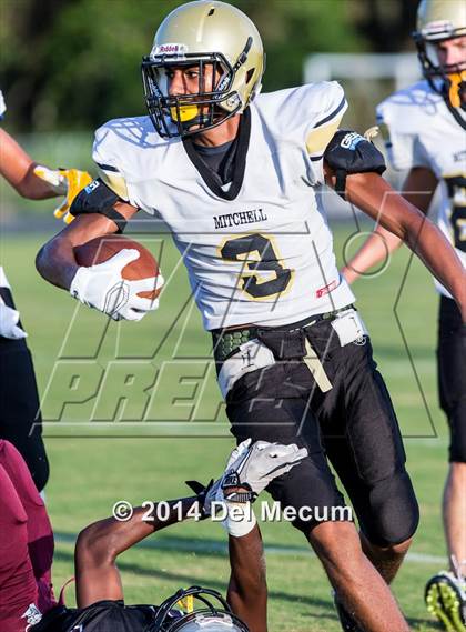 Thumbnail 2 in Mitchell @ Wiregrass Ranch photogallery.
