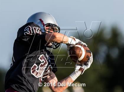 Thumbnail 3 in Mitchell @ Wiregrass Ranch photogallery.
