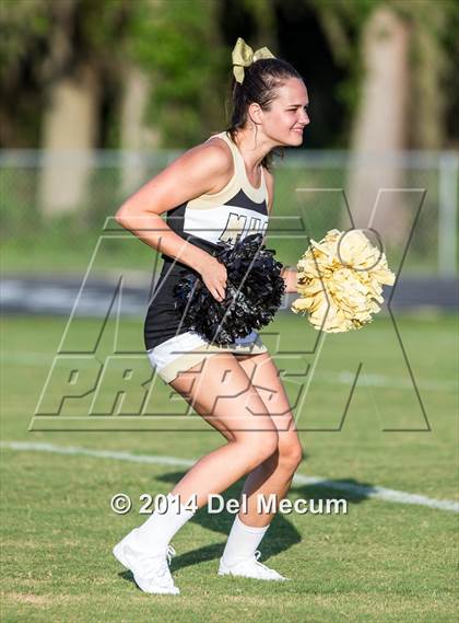 Thumbnail 1 in Mitchell @ Wiregrass Ranch photogallery.
