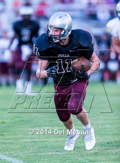 Thumbnail 3 in Mitchell @ Wiregrass Ranch photogallery.