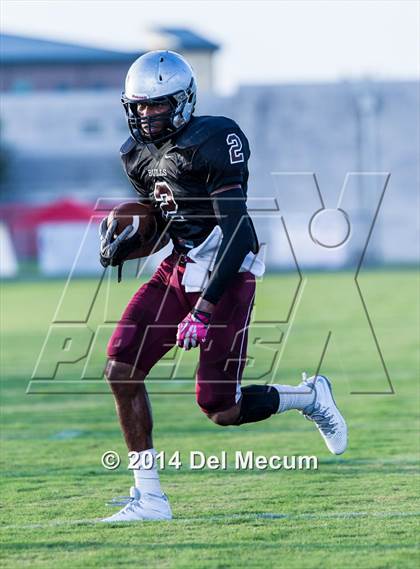 Thumbnail 3 in Mitchell @ Wiregrass Ranch photogallery.
