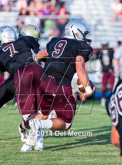 Thumbnail 3 in Mitchell @ Wiregrass Ranch photogallery.