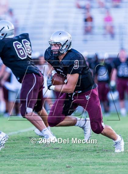 Thumbnail 1 in Mitchell @ Wiregrass Ranch photogallery.