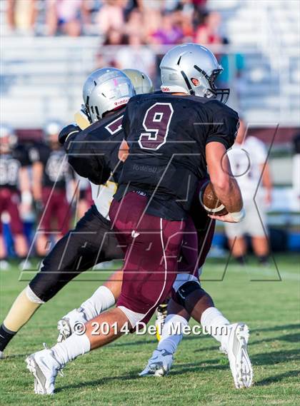 Thumbnail 2 in Mitchell @ Wiregrass Ranch photogallery.