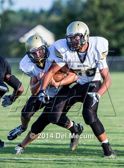 Thumbnail 2 in Mitchell @ Wiregrass Ranch photogallery.