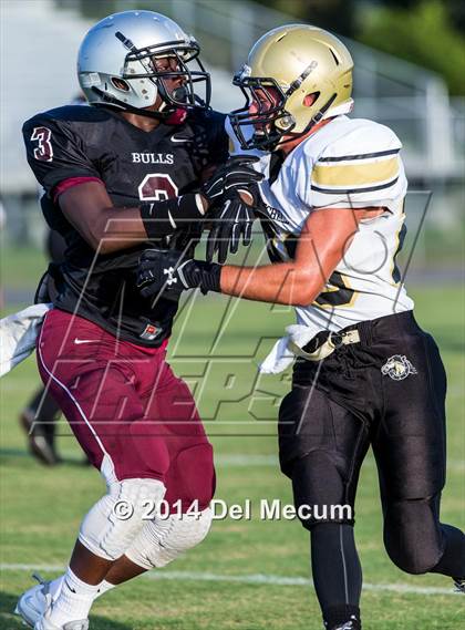 Thumbnail 1 in Mitchell @ Wiregrass Ranch photogallery.