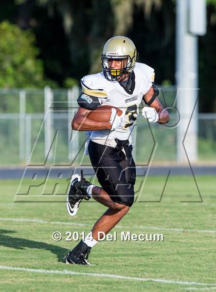 Thumbnail 3 in Mitchell @ Wiregrass Ranch photogallery.