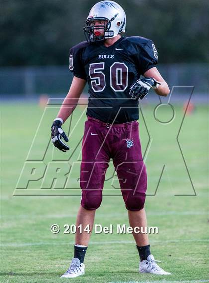 Thumbnail 3 in Mitchell @ Wiregrass Ranch photogallery.