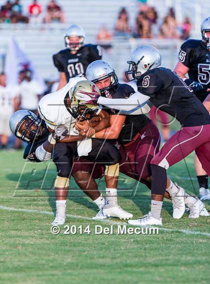 Thumbnail 2 in Mitchell @ Wiregrass Ranch photogallery.