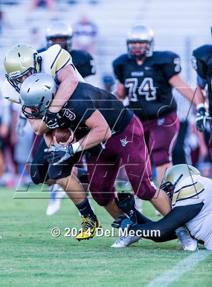 Thumbnail 3 in Mitchell @ Wiregrass Ranch photogallery.